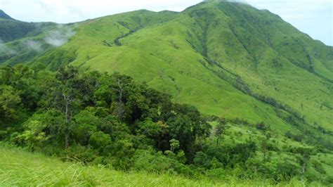 Bundok .